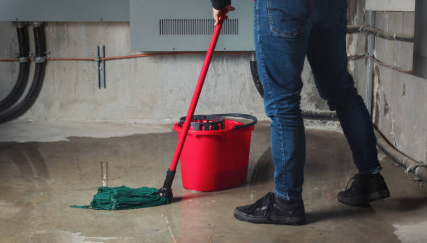 Local water damage restoration in Gardnerville, NV